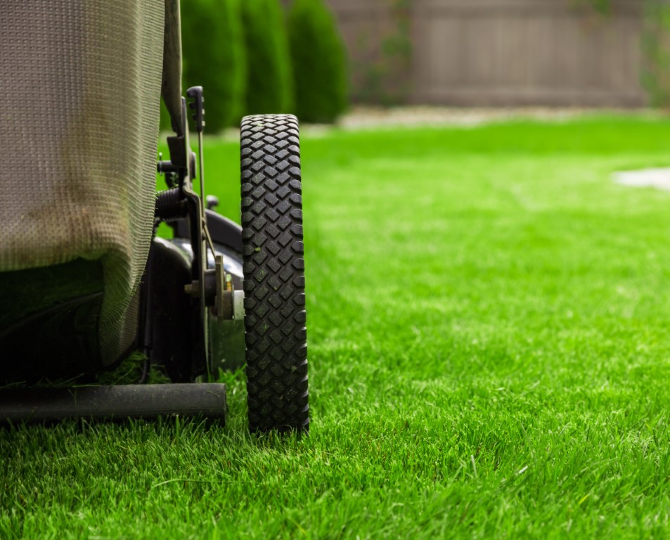 Lawn Mowing Jobs Melbourne - Lawn Mowing Job Melbourne Australia Grass Cutting Work Opportunities / Tips for quoting lawn mowing jobs.in this video i share tips for quoting lawn mowing jobs.